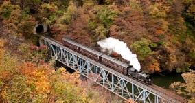 3rd Tadami Bridge Ⅲ