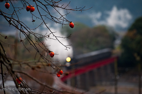 1st Oi River Bridge 