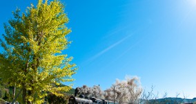 clear autumn sky