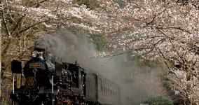 spring in Hitoyoshi Ⅱ