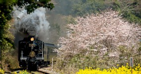 spring in Hitoyoshi Ⅴ