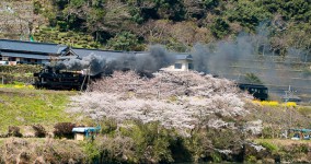 spring in Hitoyoshi Ⅵ
