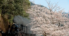 spring in Hitoyoshi Ⅶ