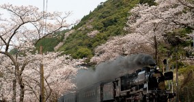 spring in Hitoyoshi Ⅷ