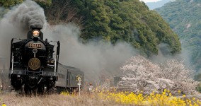 spring in Hitoyoshi Ⅸ