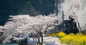spring in Hitoyoshi Ⅹ
