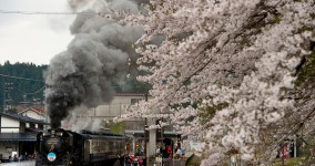 spring in Bansai Ⅱ