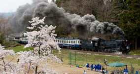 spring in Bansai Ⅲ