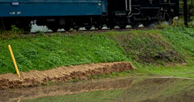 harvested field