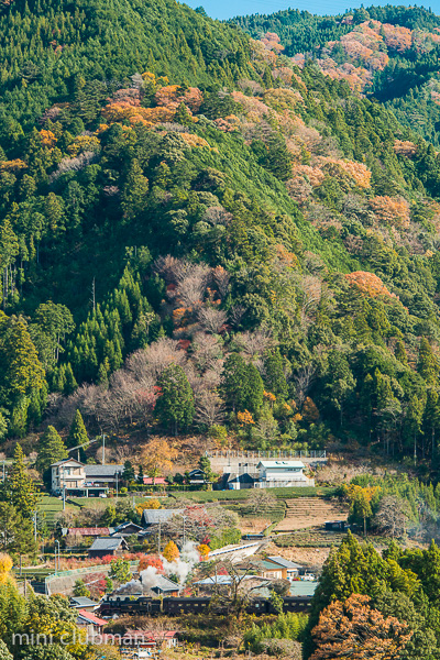 Tanokuchi