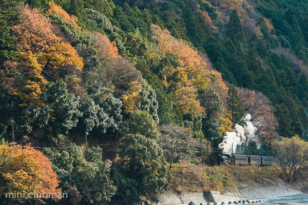 Surugatokuyama - Aobe