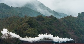 cloud of steam in winter II