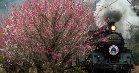 Spring DAITETSU Festival III