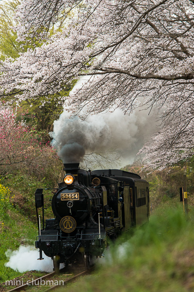 Watari - Nishihitoyoshi