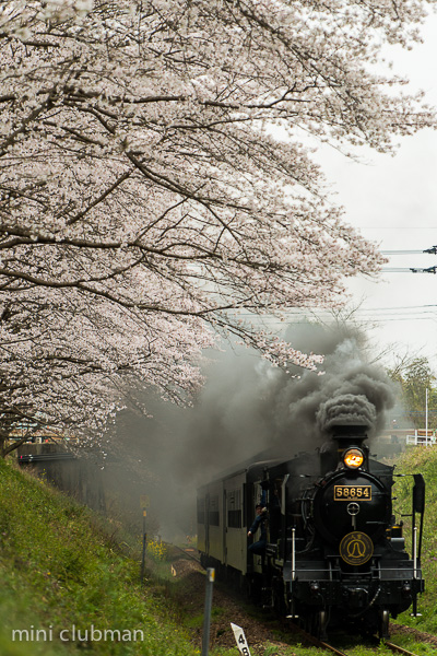 Nishihitoyoshi - Watari