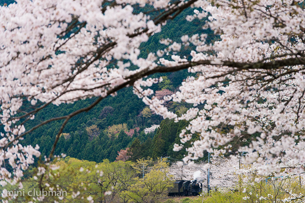 Owada - Fukuyo