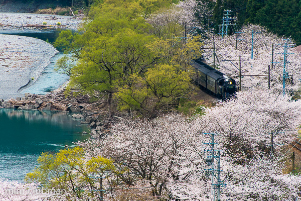 Fukuyo - Owada