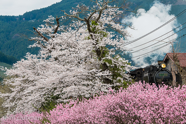 Ieyama - Nukuri