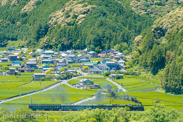 Nukuri - Sasamado