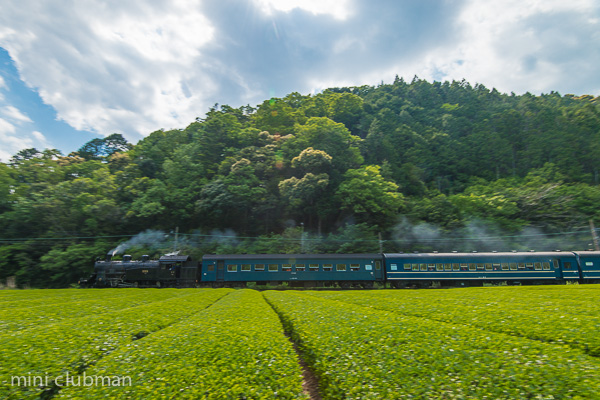 Owada - Fukuyo