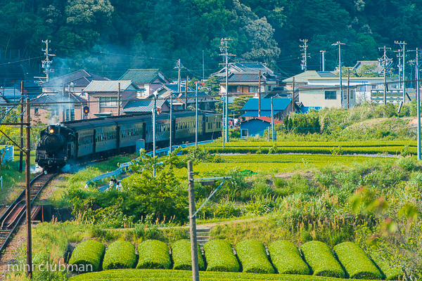 Fukuyo - Kamio