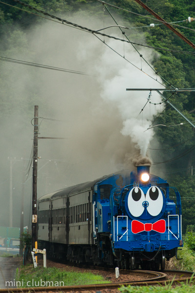 Owada - Fukuyo