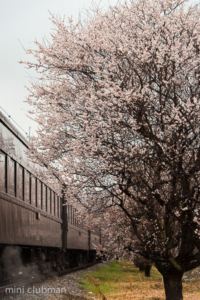 Daikancho - Shinkanaya