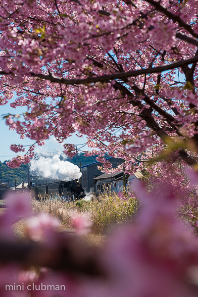 Shinkanaya - Daikancho