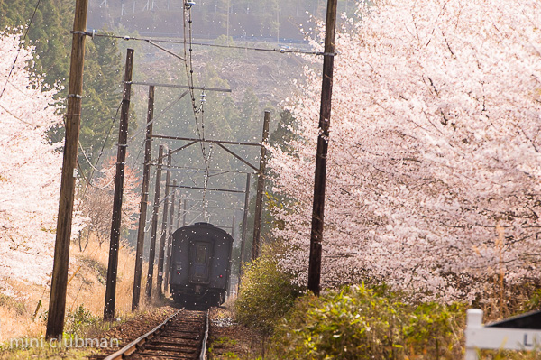 Surugatokuyama - Tanokuchi