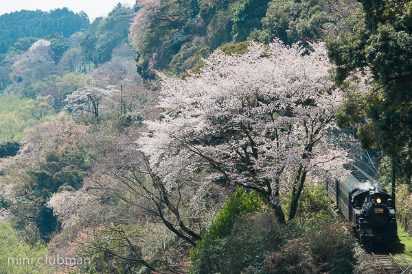 Goka - Kamio