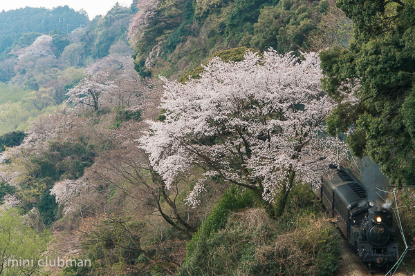 Goka - Kamio