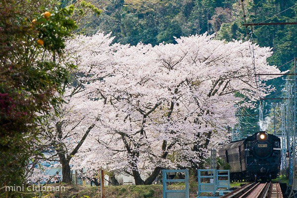 Owada - Ieyama