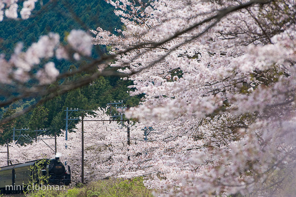 Owada - Fukuyo