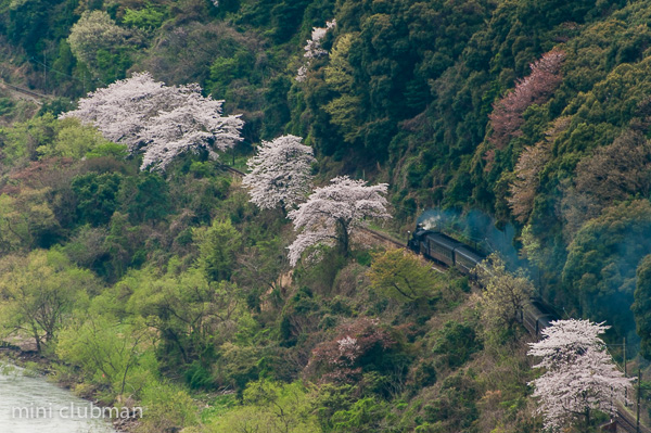 Goka - Kamio