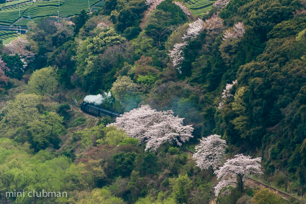 Goka - Kamio