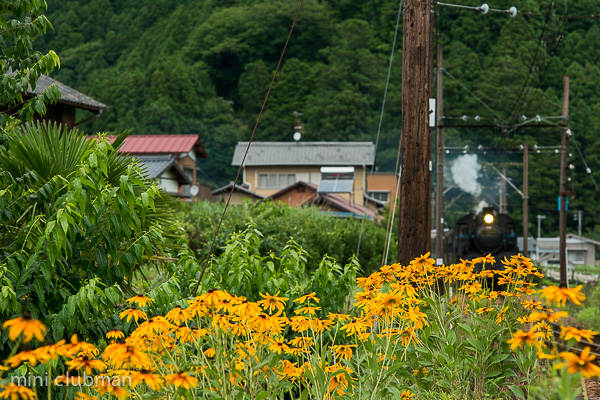 Aobe - Surugatokuyama