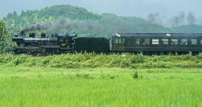 rice field II