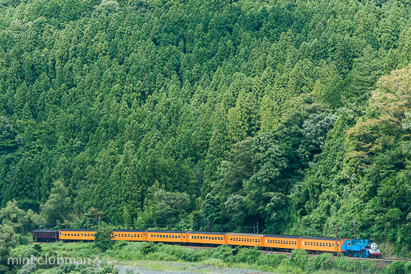 Tanokuchi - Shimoizumi