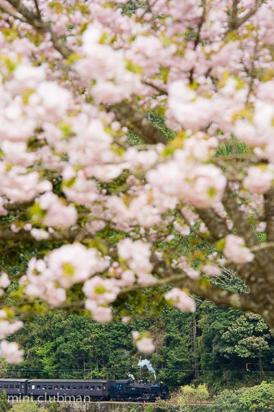 Tanokuchi - Shimoizumi