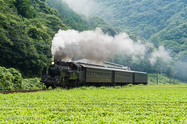 Owada - Fukuyo