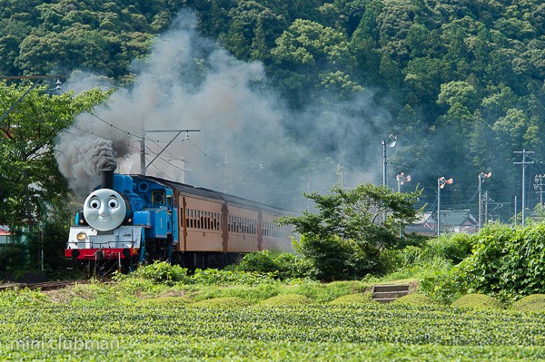 Fukuyo - Kamio