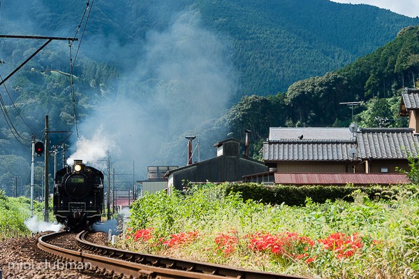 Fukuyo - Owada