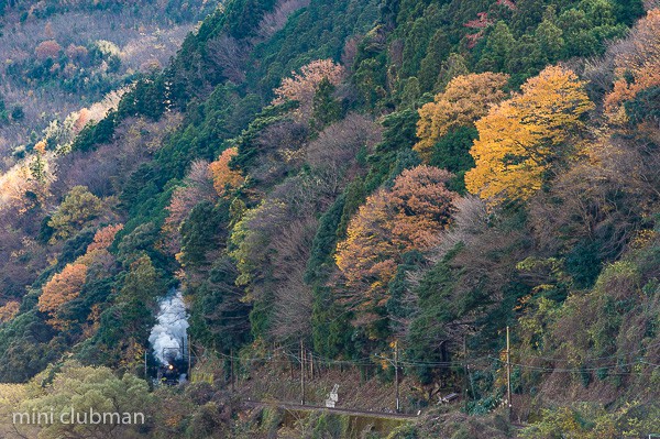 Kamio - Fukuyo