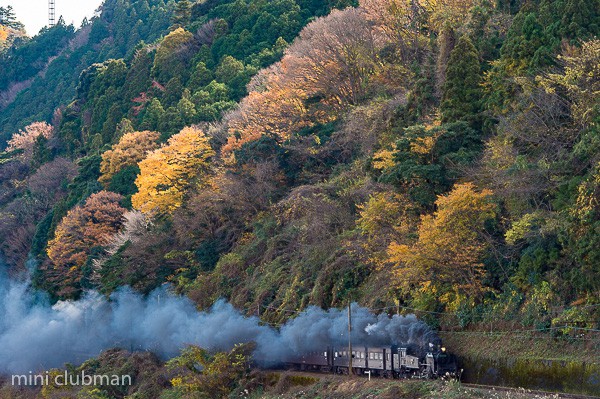 Kamio - Fukuyo