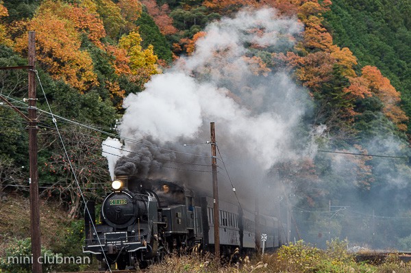 Owada - Fukuyo