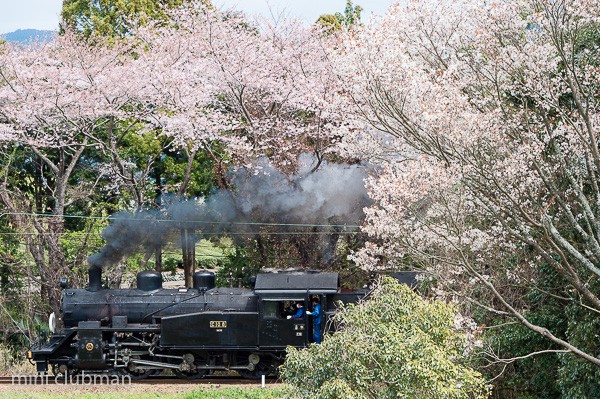 Goka - Kamio