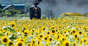 summer in Kamaishi V