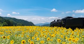 summer in Kamaishi XII